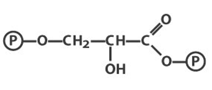 1,3-Bisphosphoglycerate