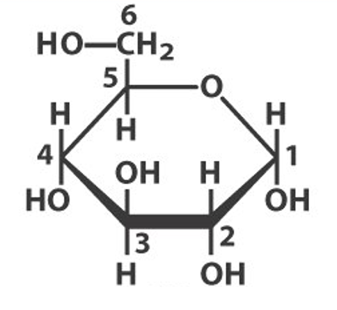 Glucose