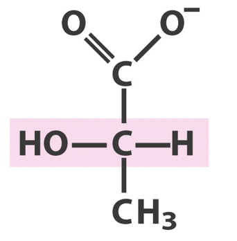 Lactate