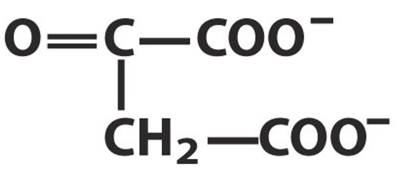 Oxaloacetate