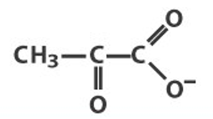 Pyruvate