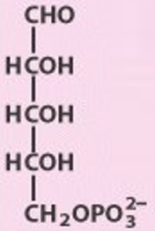 Ribose-5-Phosphate