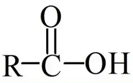 Fatty-Acid