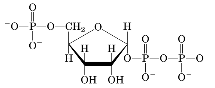 PRPP