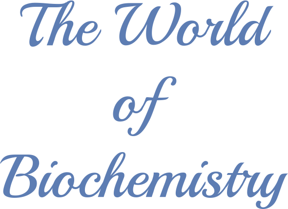 Website Name